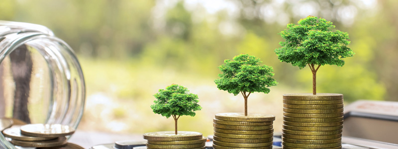 Plant trees on coins, sustainability and profit